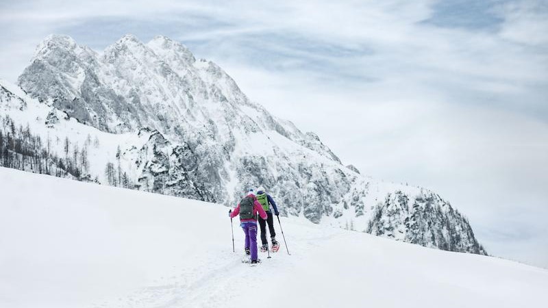 Alternatieve in Oberösterreich